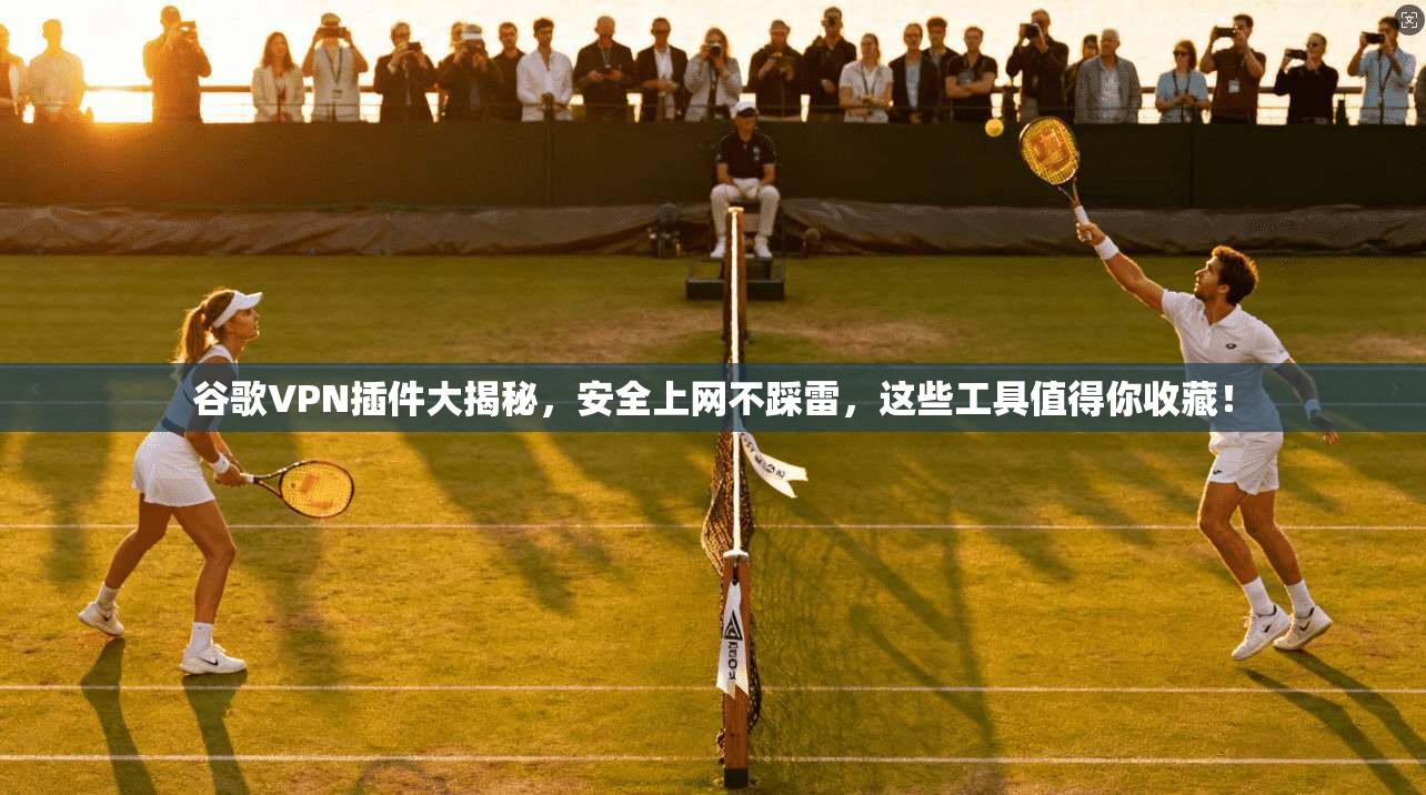 谷歌VPN插件大揭秘,安全上网不踩雷,这些工具值得你收藏!