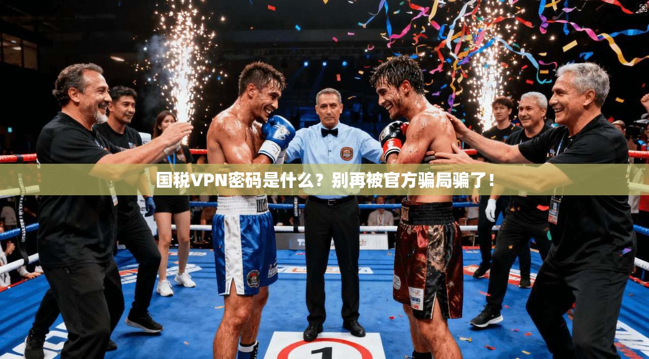 国税VPN密码是什么？别再被官方骗局骗了！