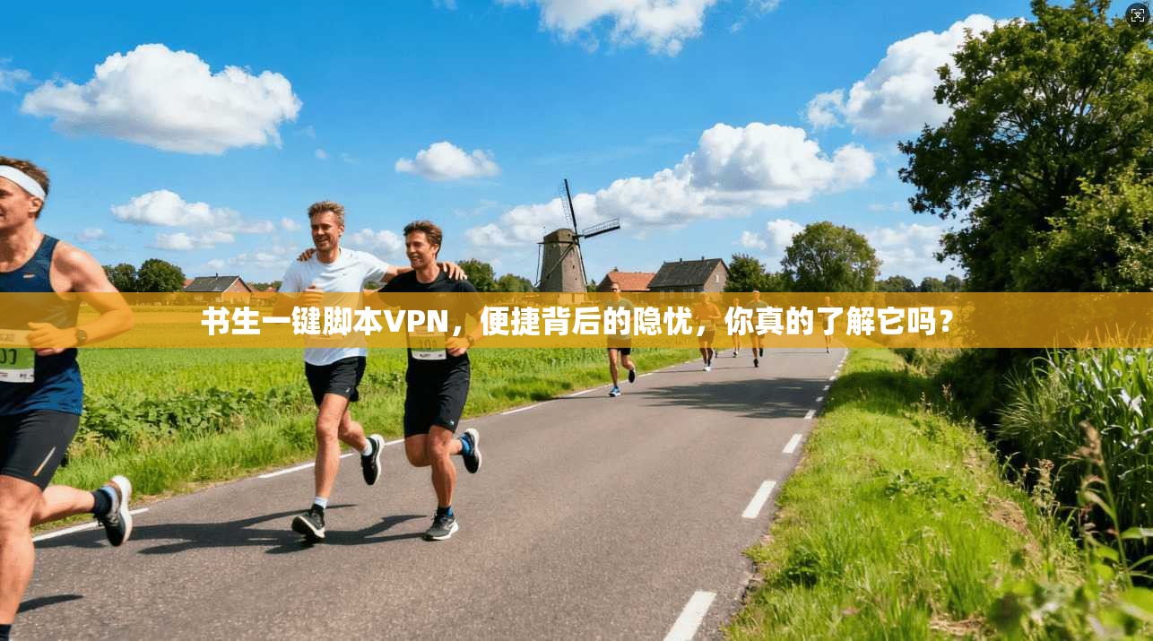 书生一键脚本VPN，便捷背后的隐忧，你真的了解它吗？