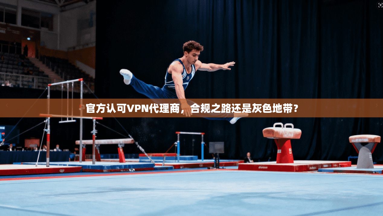 官方认可VPN代理商,合规之路还是灰色地带?
