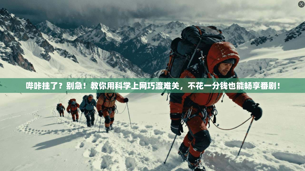 哔咔挂了?别急!教你用科学上网巧渡难关,不花一分钱也能畅享番剧!