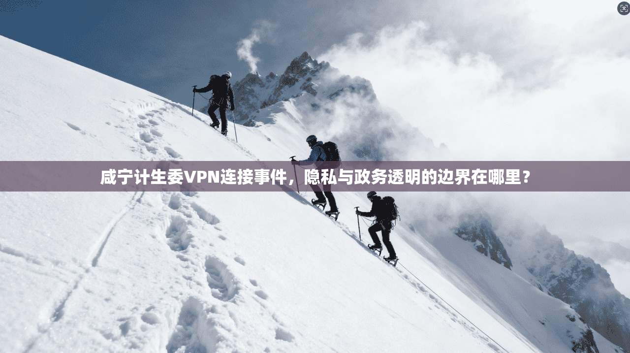 咸宁计生委VPN连接事件,隐私与政务透明的边界在哪里?