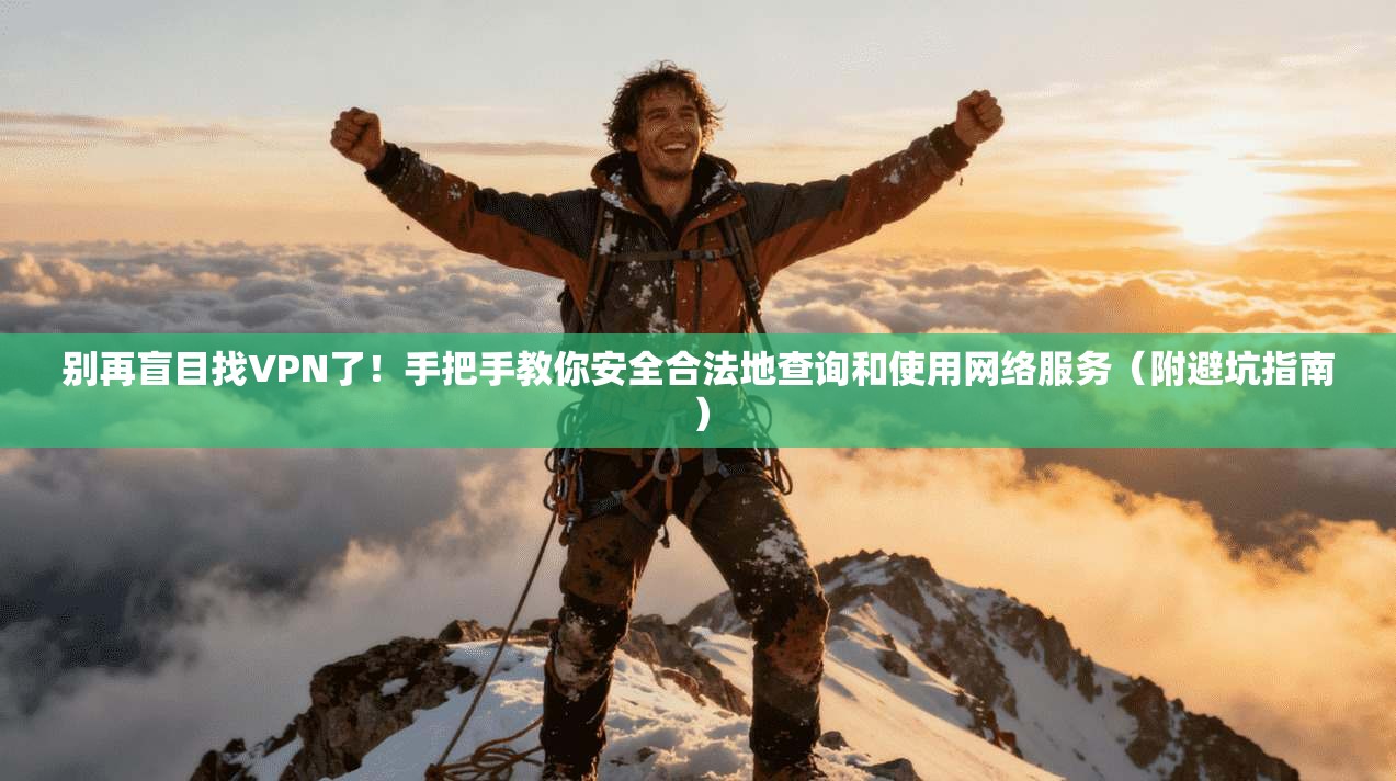 别再盲目找VPN了!手把手教你安全合法地查询和使用网络服务(附避坑指南)
