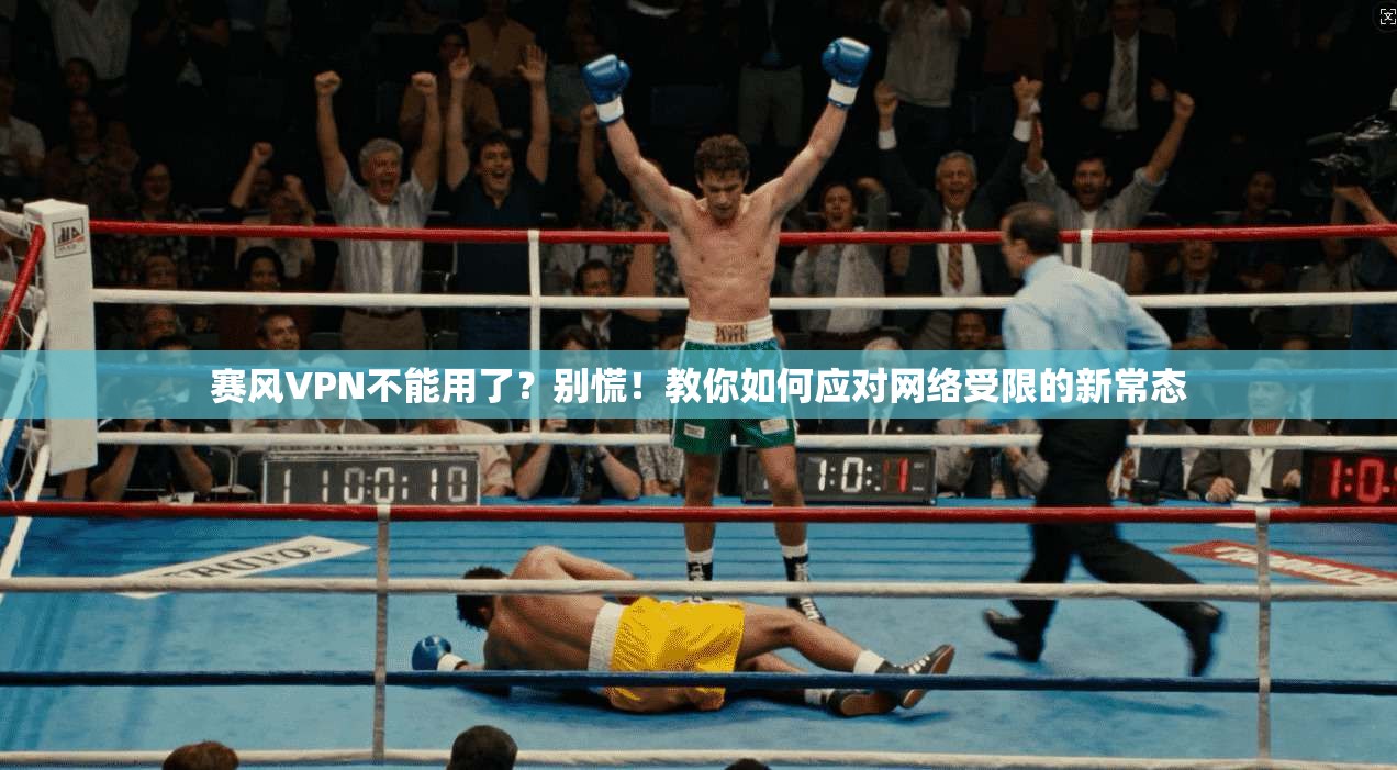 赛风VPN不能用了?别慌!教你如何应对网络受限的新常态