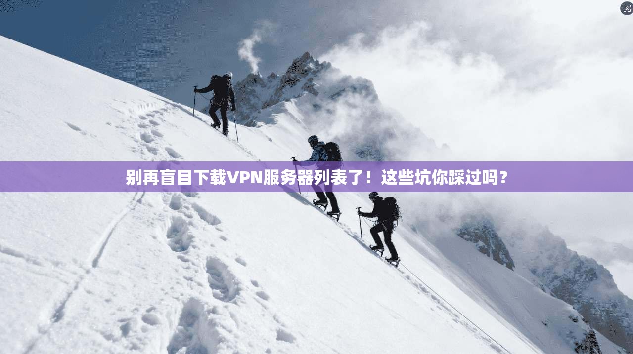 别再盲目下载VPN服务器列表了！这些坑你踩过吗？