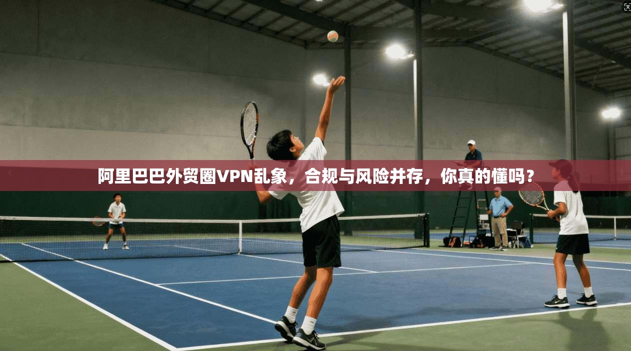 阿里巴巴外贸圈VPN乱象，合规与风险并存，你真的懂吗？