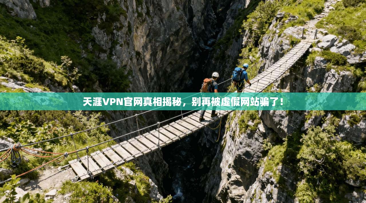 天涯VPN官网真相揭秘，别再被虚假网站骗了！
