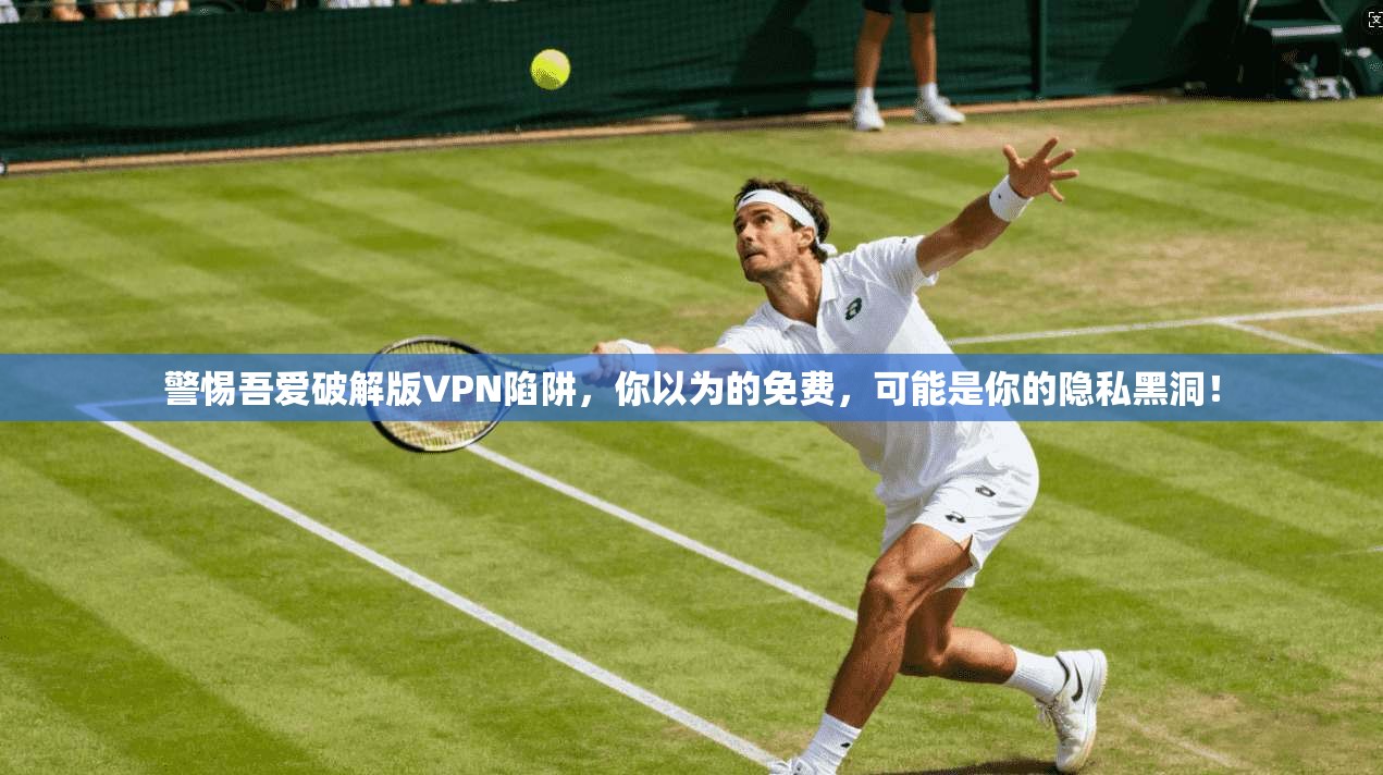 警惕吾爱破解版VPN陷阱，你以为的免费，可能是你的隐私黑洞！