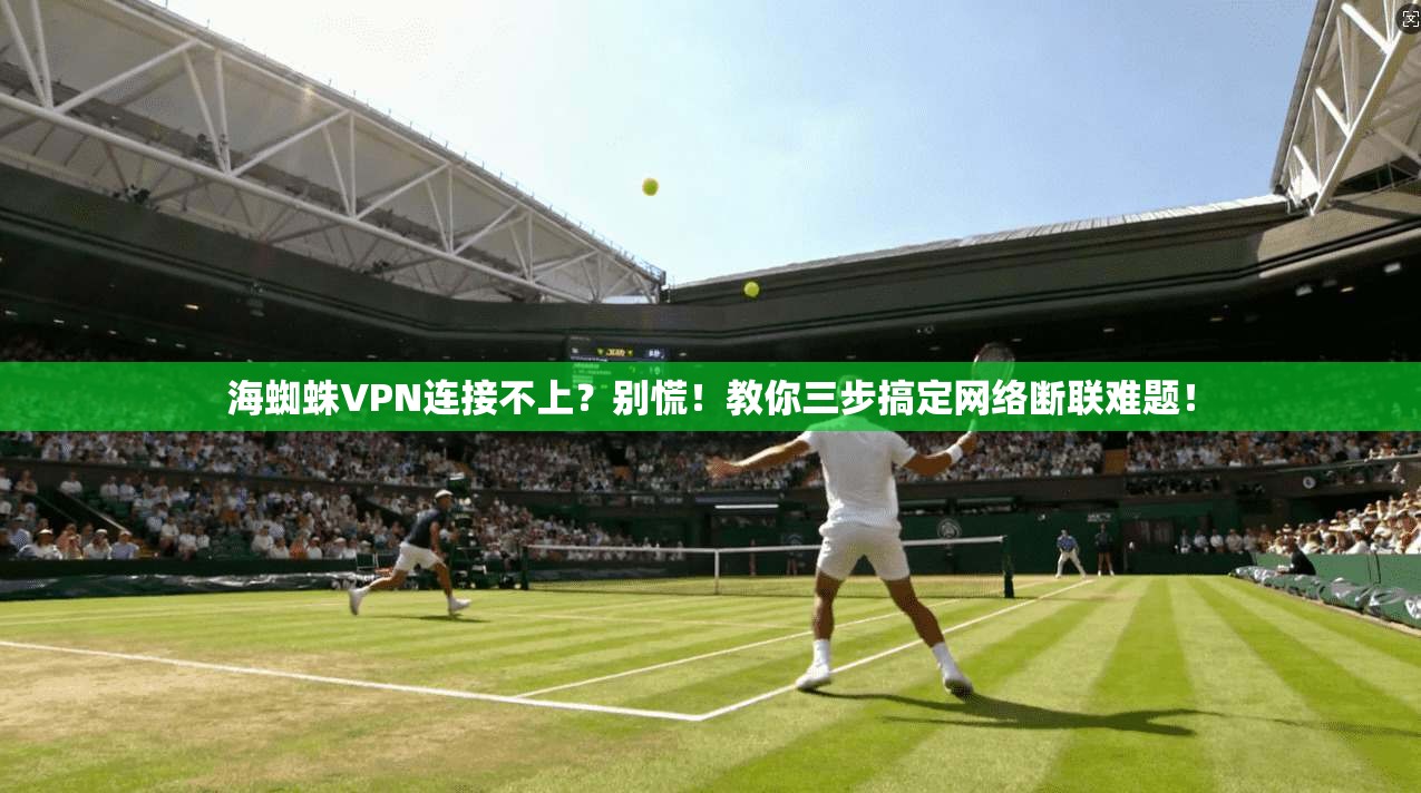 海蜘蛛VPN连接不上？别慌！教你三步搞定网络断联难题！