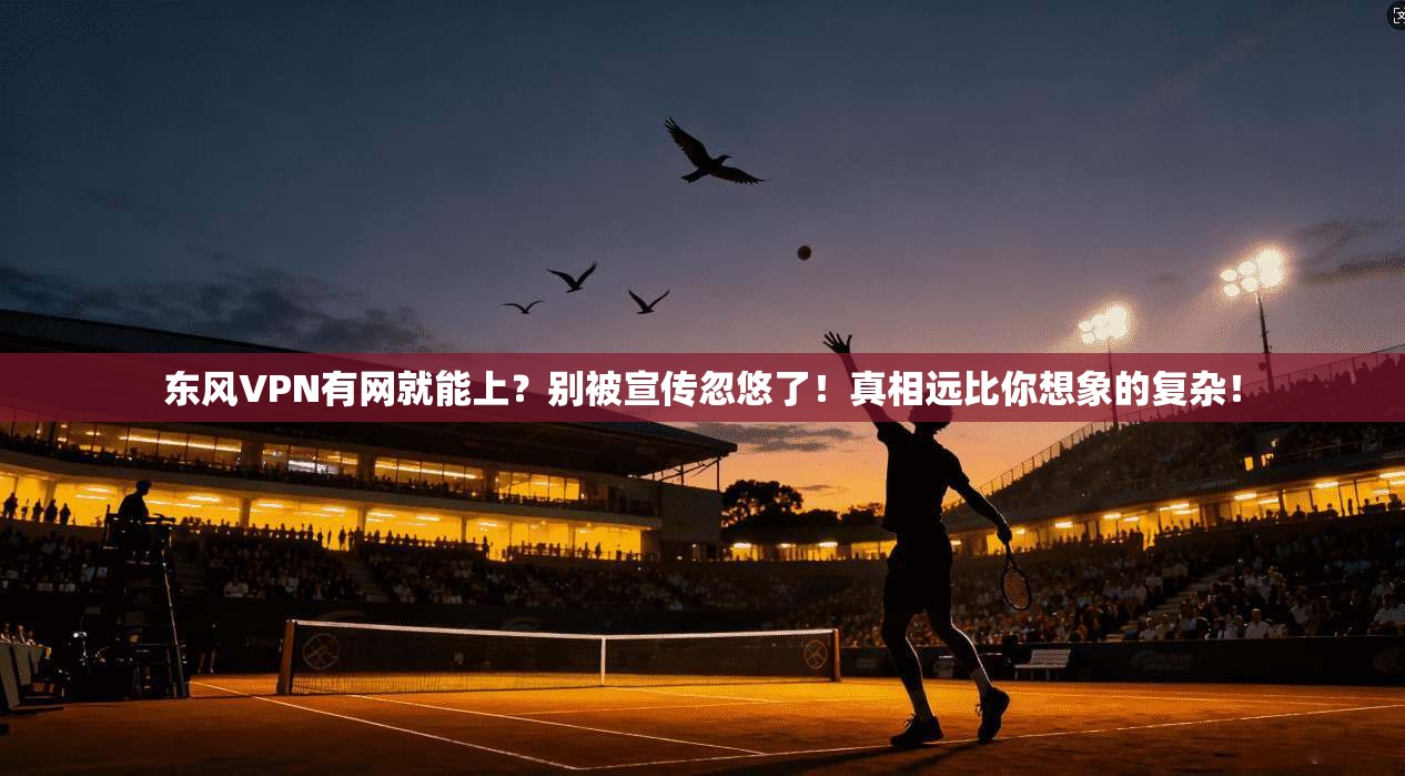 东风VPN有网就能上?别被宣传忽悠了!真相远比你想象的复杂!