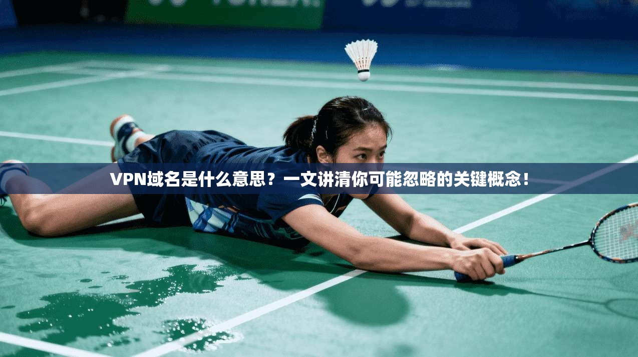 VPN域名是什么意思？一文讲清你可能忽略的关键概念！