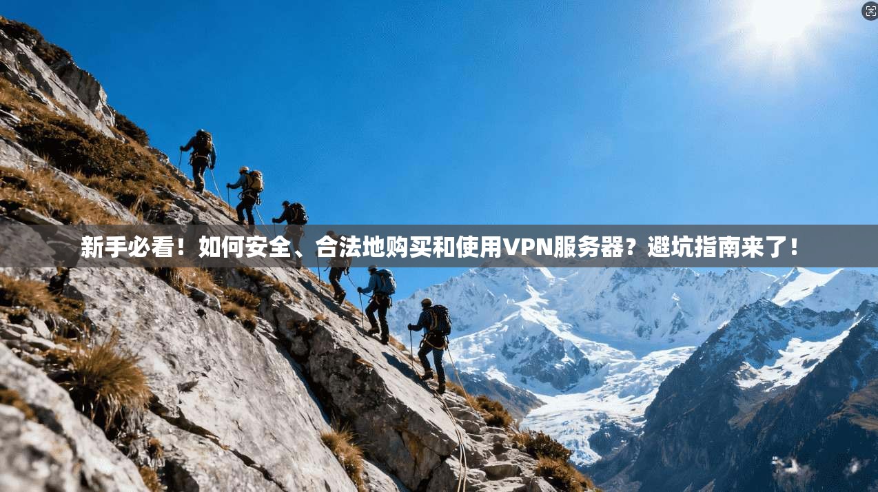新手必看！如何安全、合法地购买和使用VPN服务器？避坑指南来了！