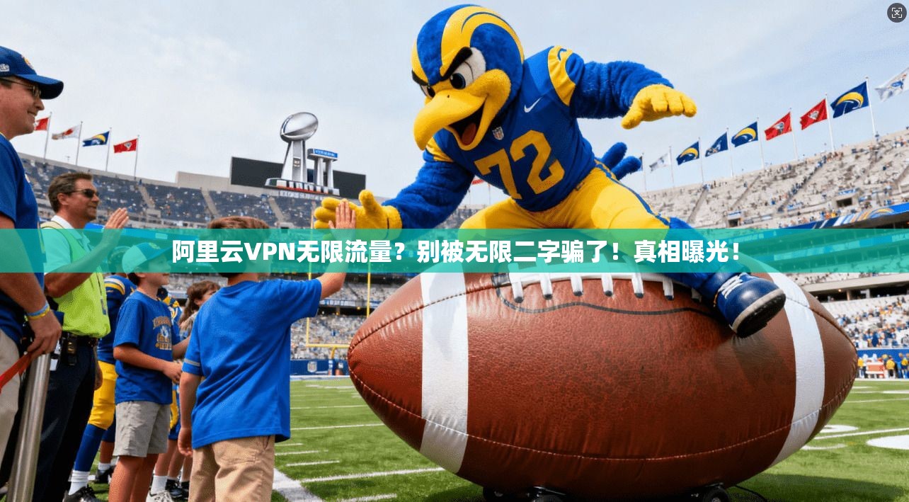 阿里云VPN无限流量?别被无限二字骗了!真相曝光!