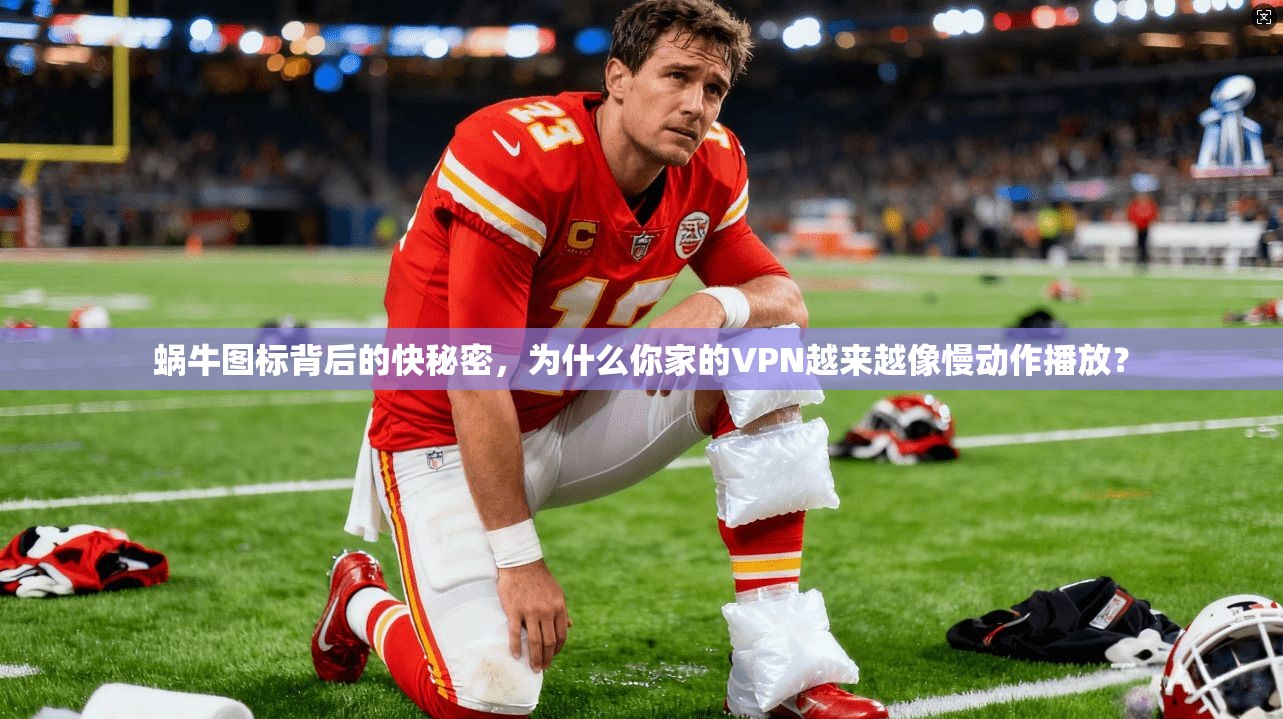 蜗牛图标背后的快秘密,为什么你家的VPN越来越像慢动作播放?