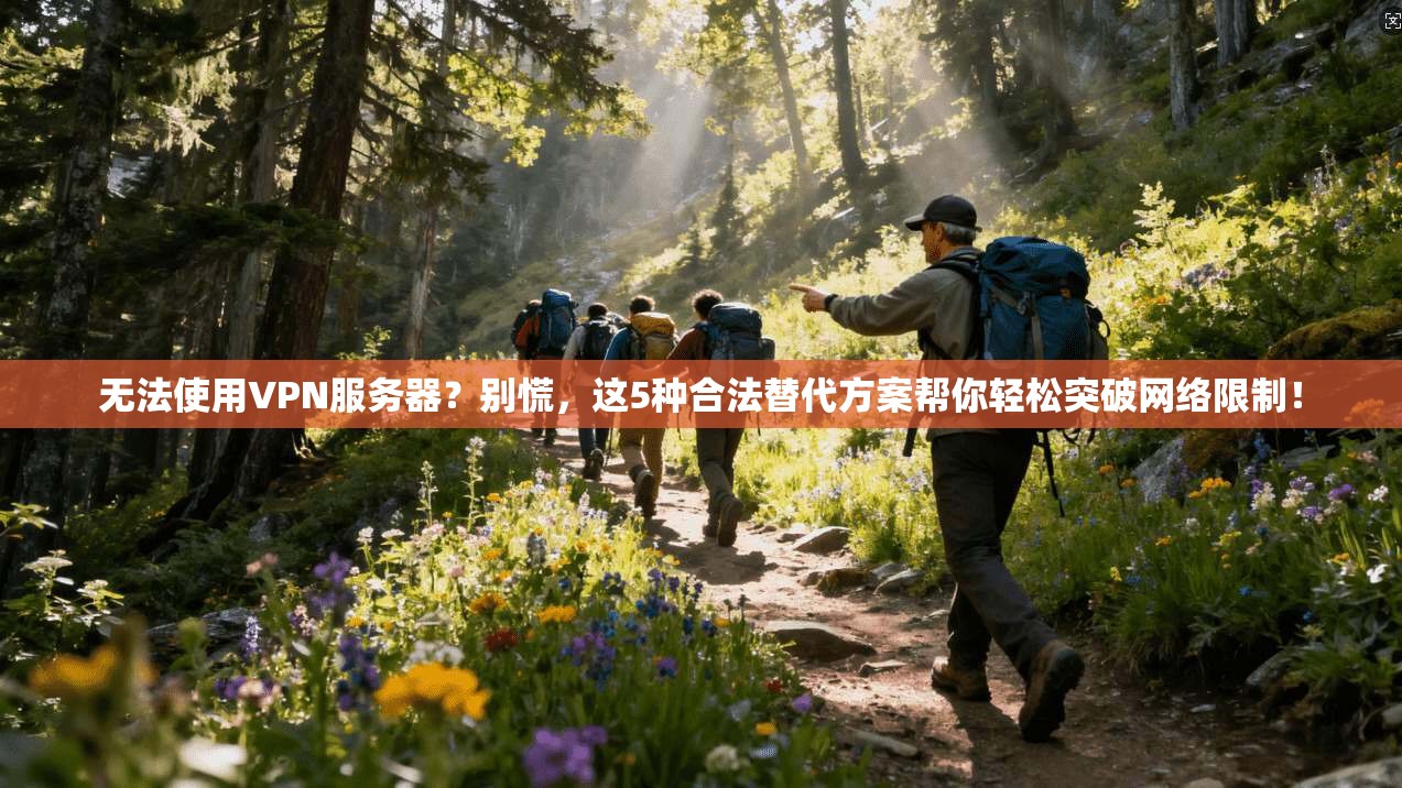 无法使用VPN服务器?别慌,这5种合法替代方案帮你轻松突破网络限制!