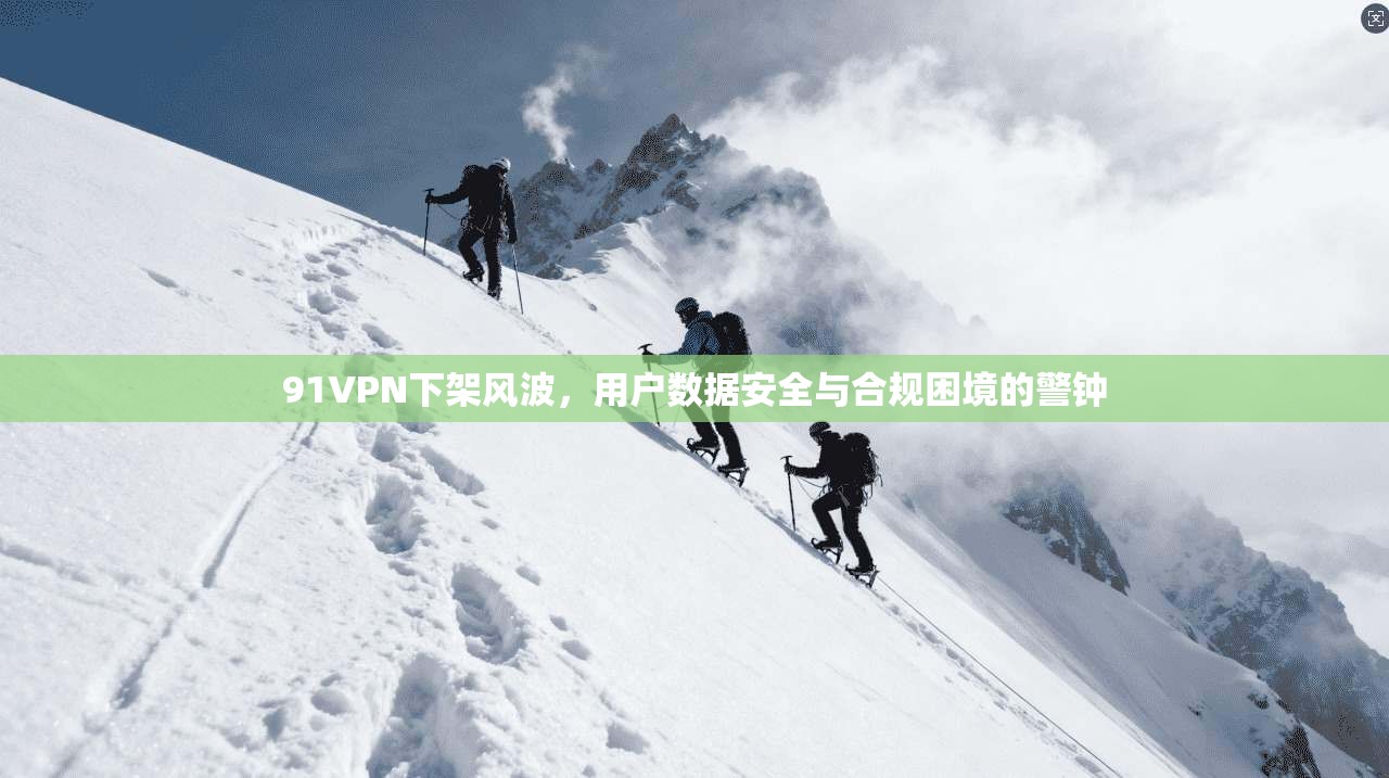 91VPN下架风波,用户数据安全与合规困境的警钟