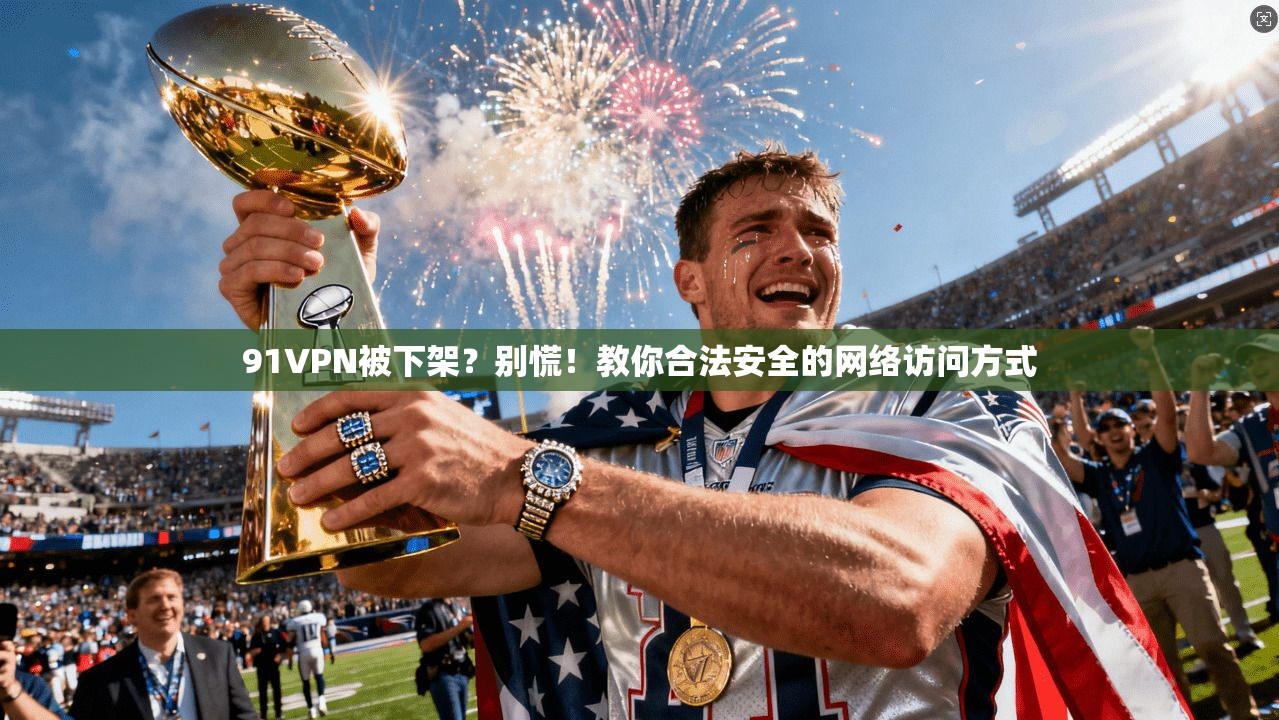 91VPN被下架?别慌!教你合法安全的网络访问方式