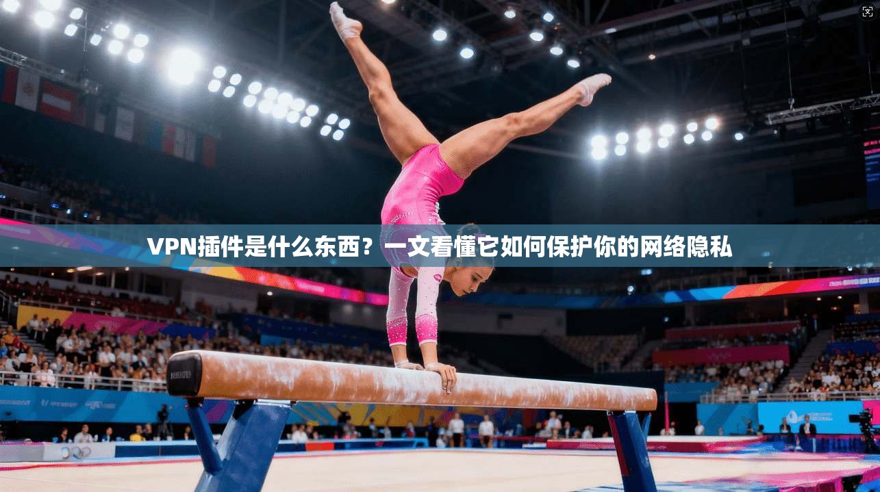 VPN插件是什么东西？一文看懂它如何保护你的网络隐私