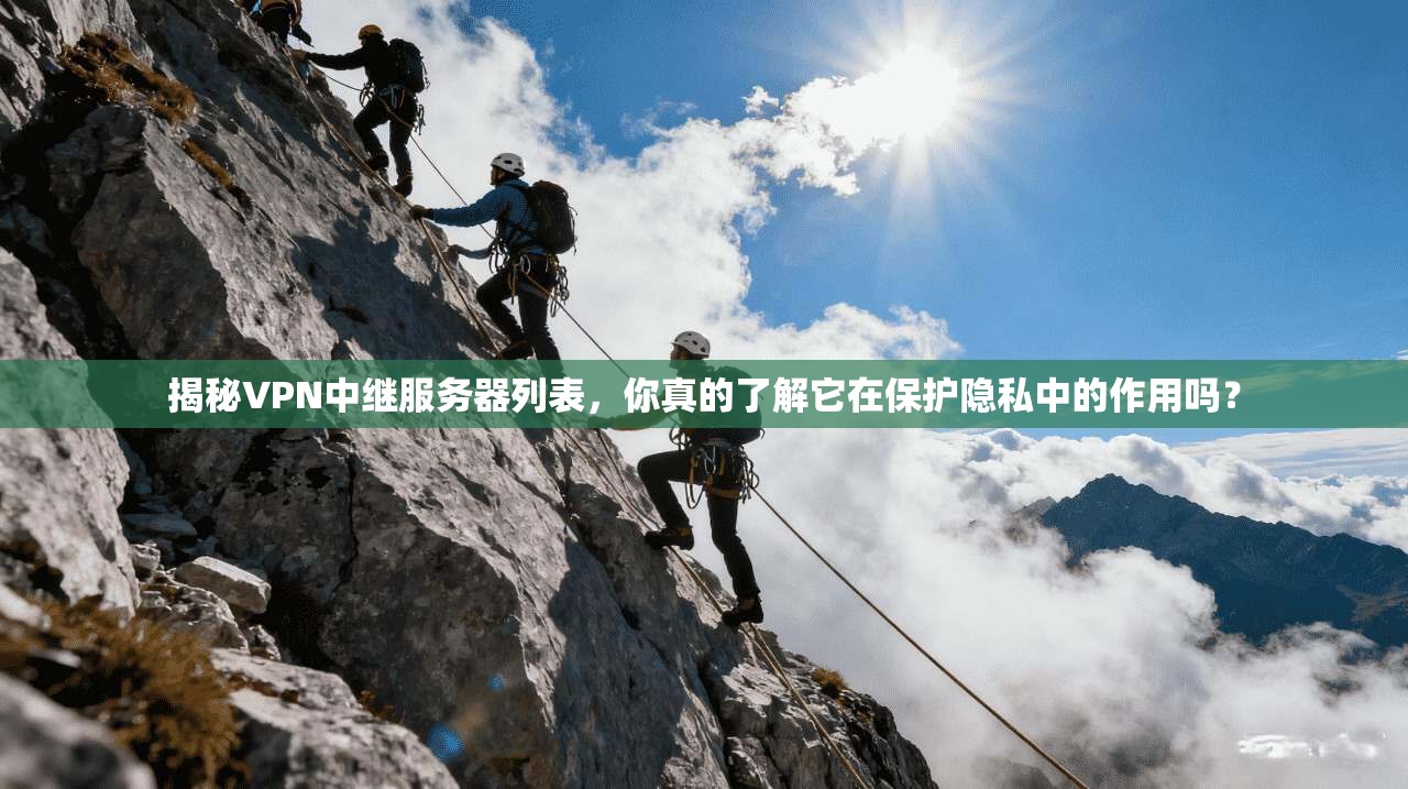 揭秘VPN中继服务器列表，你真的了解它在保护隐私中的作用吗？