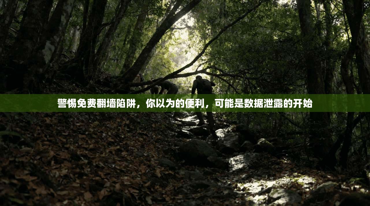警惕免费翻墙陷阱，你以为的便利，可能是数据泄露的开始