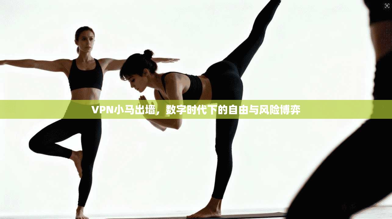 VPN小马出墙，数字时代下的自由与风险博弈