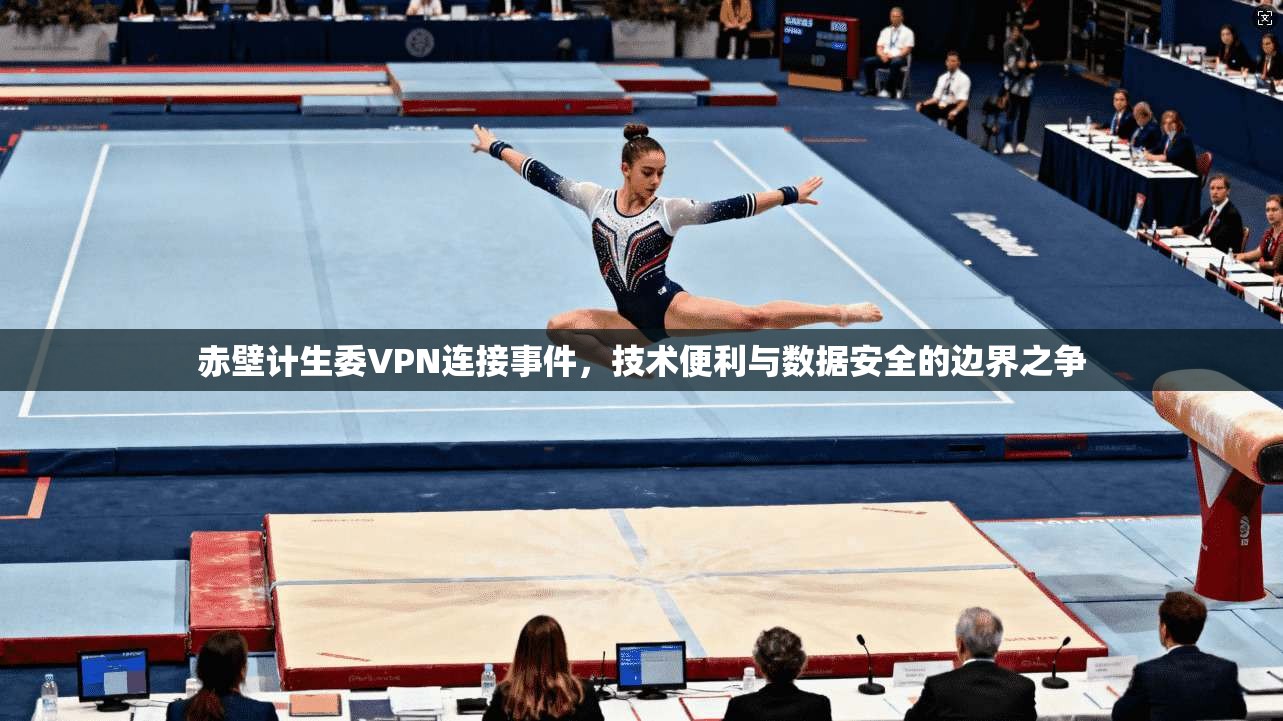 赤壁计生委VPN连接事件,技术便利与数据安全的边界之争