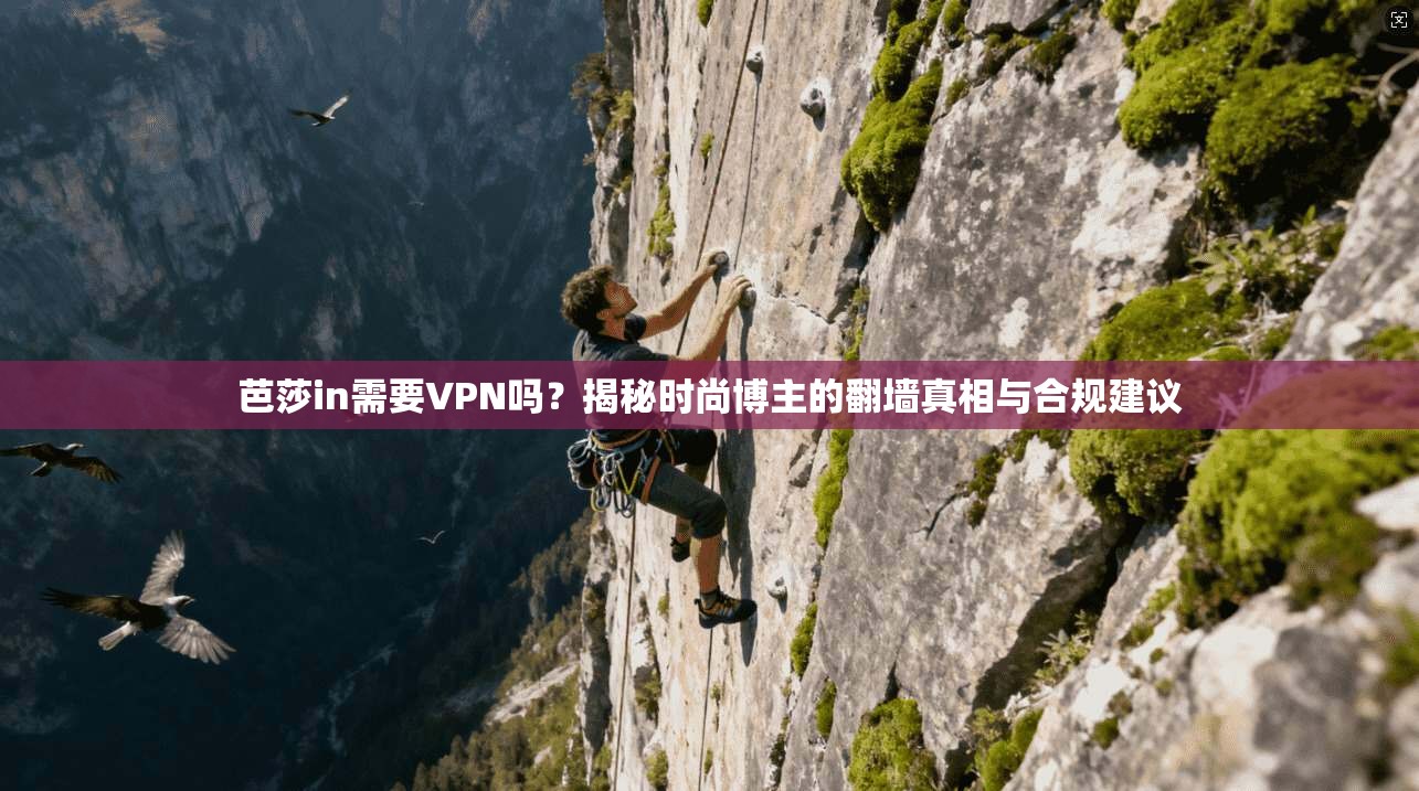 芭莎in需要VPN吗?揭秘时尚博主的翻墙真相与合规建议