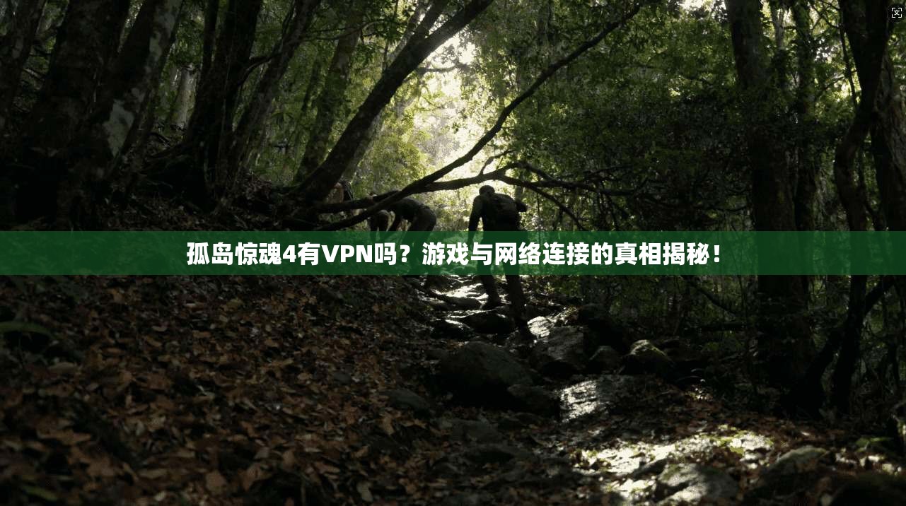 孤岛惊魂4有VPN吗？游戏与网络连接的真相揭秘！