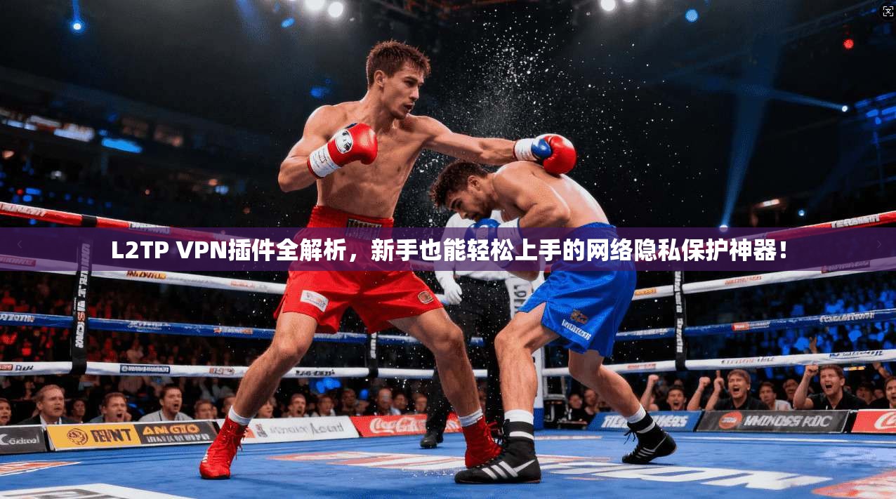 L2TP VPN插件全解析，新手也能轻松上手的网络隐私保护神器！