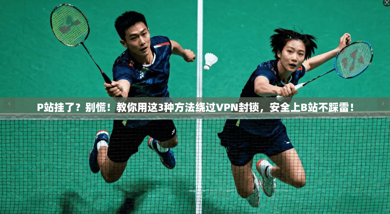 P站挂了？别慌！教你用这3种方法绕过VPN封锁，安全上B站不踩雷！