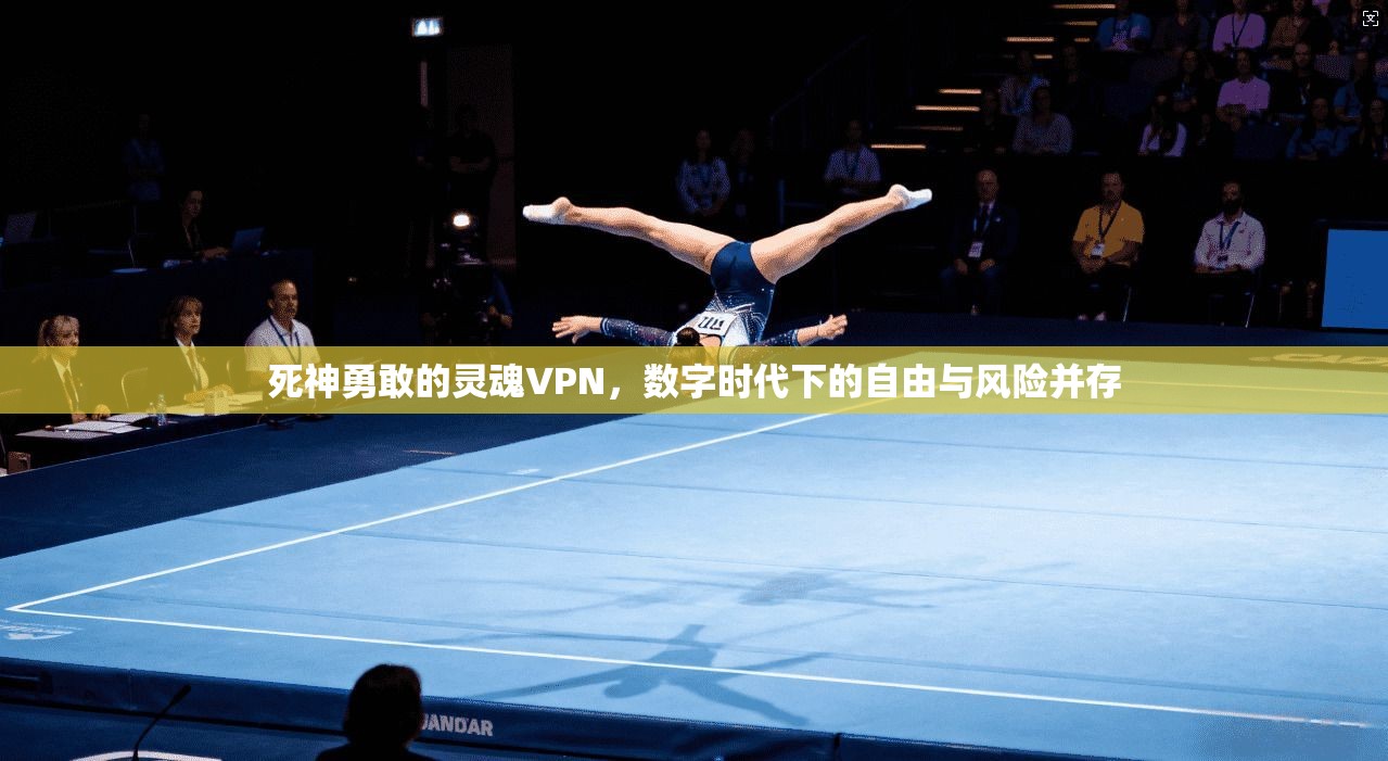死神勇敢的灵魂VPN,数字时代下的自由与风险并存