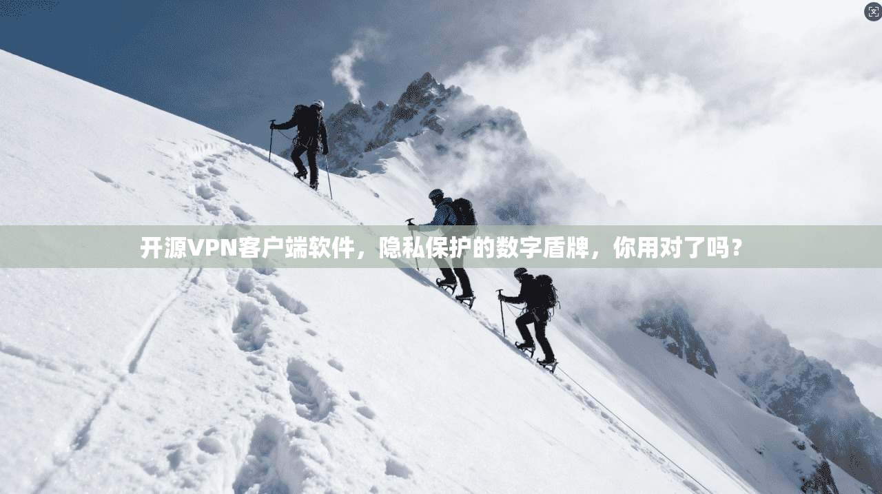 开源VPN客户端软件，隐私保护的数字盾牌，你用对了吗？