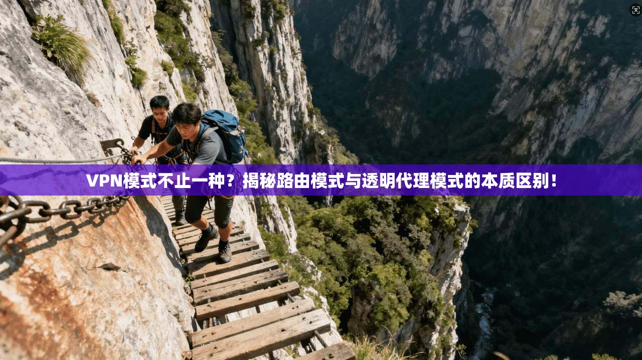 VPN模式不止一种？揭秘路由模式与透明代理模式的本质区别！