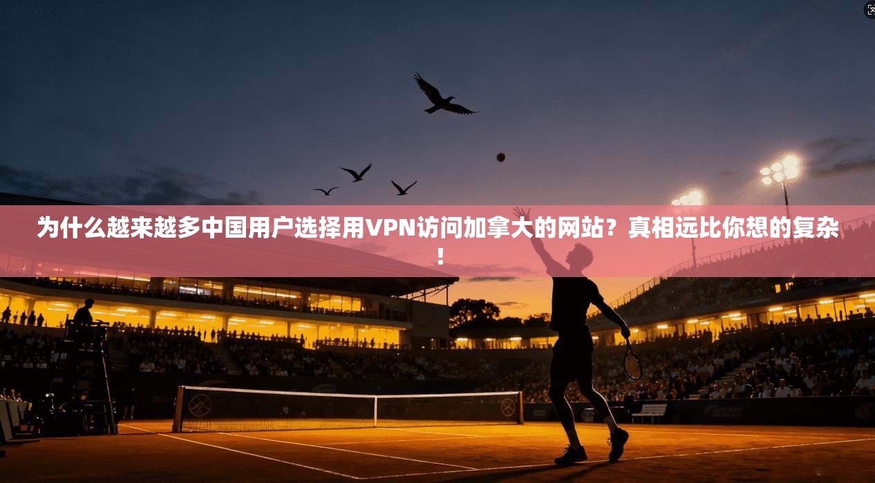 为什么越来越多中国用户选择用VPN访问加拿大的网站？真相远比你想的复杂！