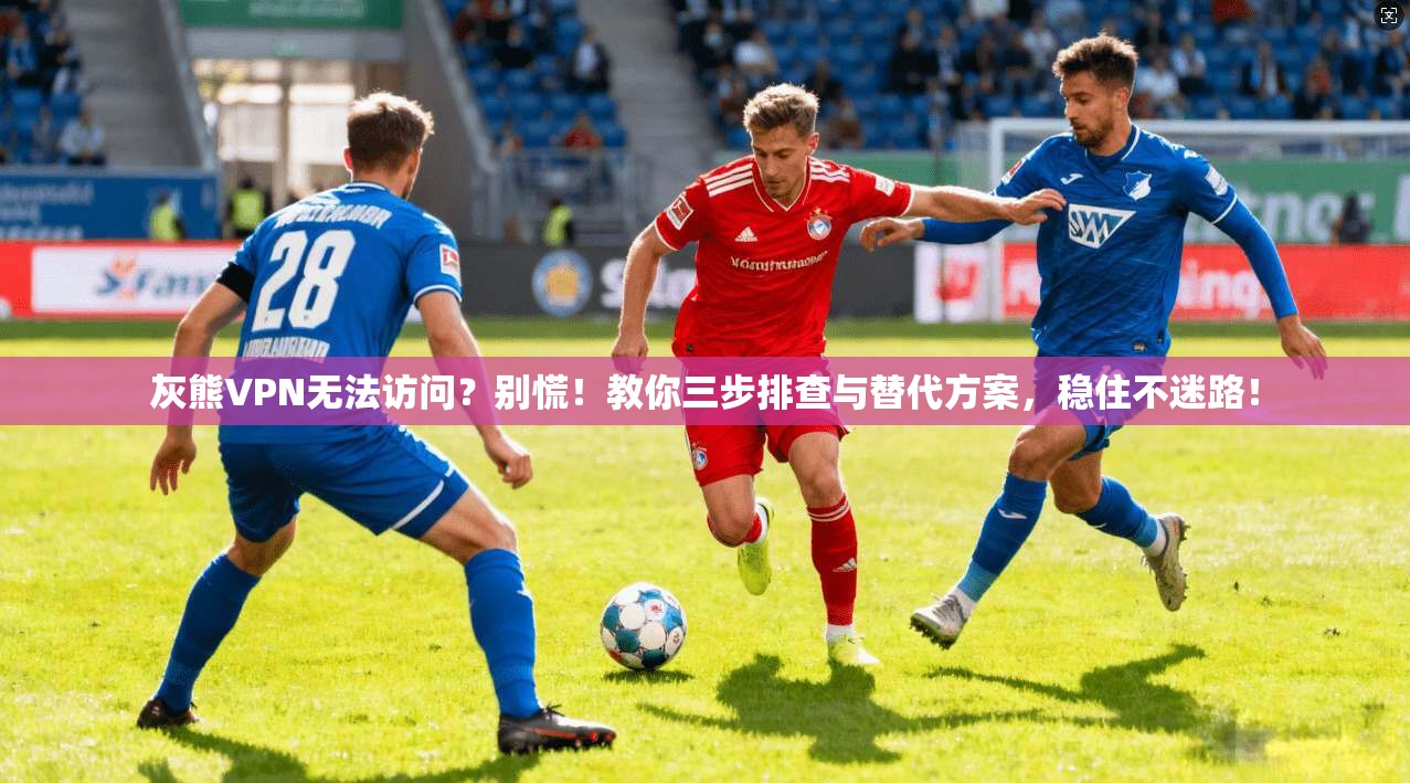 灰熊VPN无法访问?别慌!教你三步排查与替代方案,稳住不迷路!