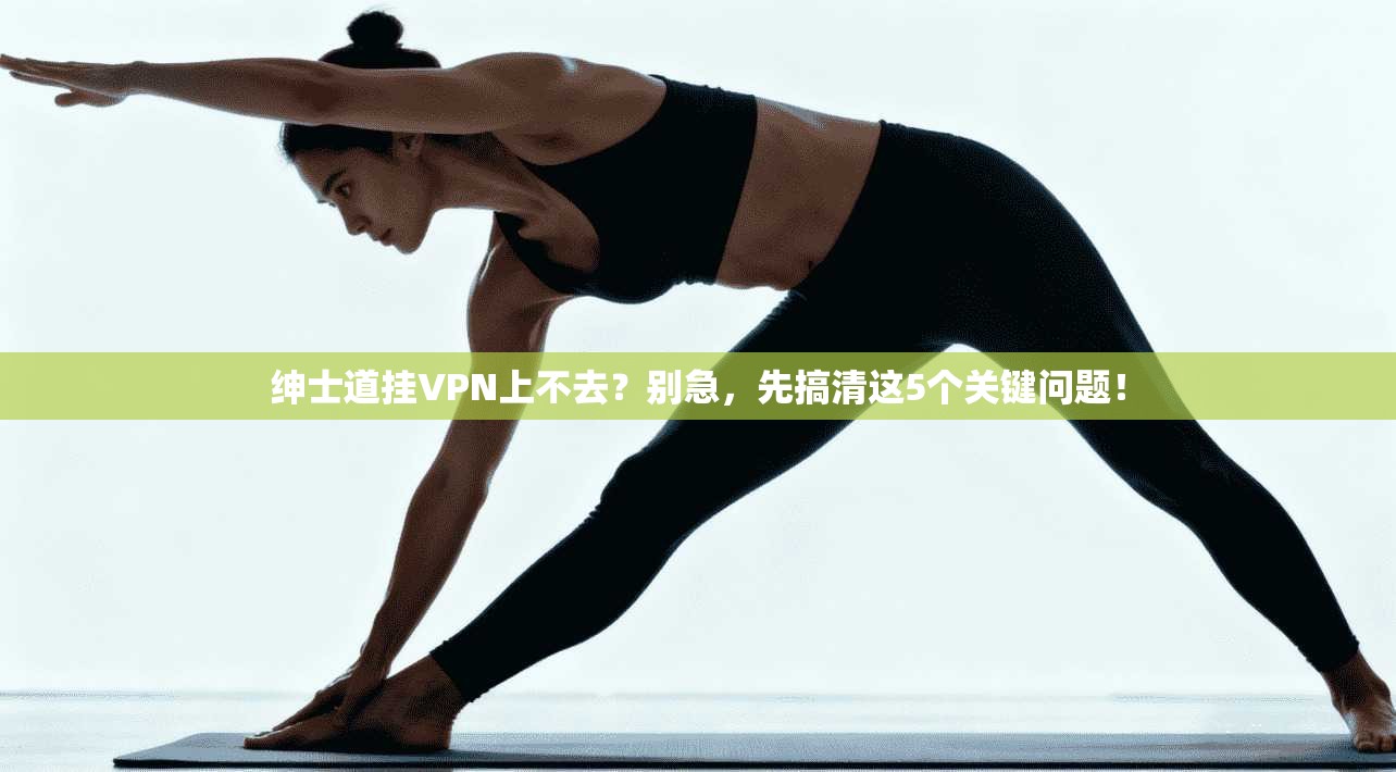 绅士道挂VPN上不去？别急，先搞清这5个关键问题！