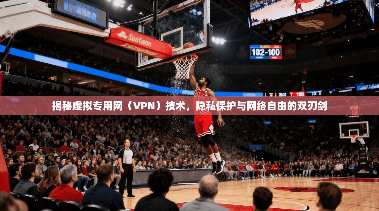 揭秘虚拟专用网（VPN）技术，隐私保护与网络自由的双刃剑