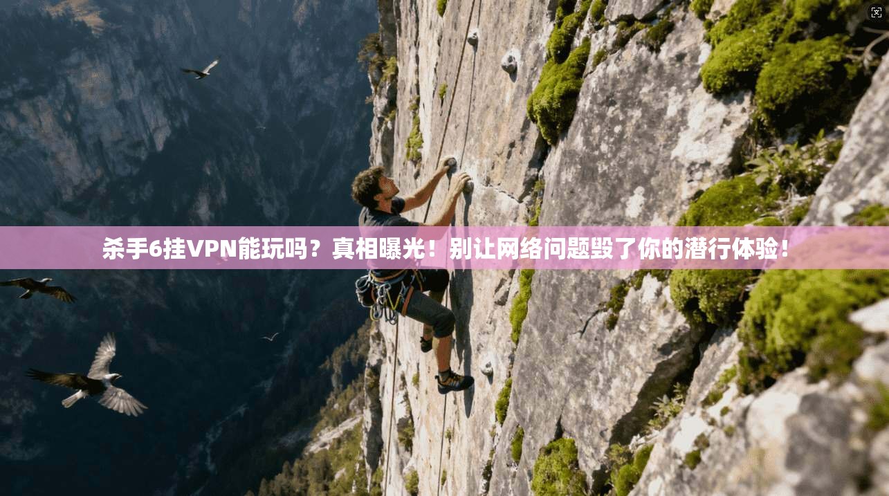 杀手6挂VPN能玩吗？真相曝光！别让网络问题毁了你的潜行体验！
