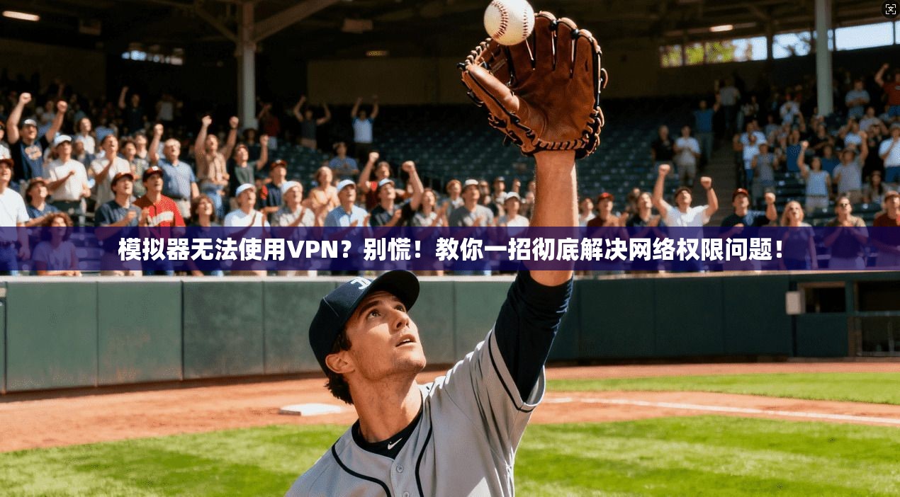 模拟器无法使用VPN？别慌！教你一招彻底解决网络权限问题！