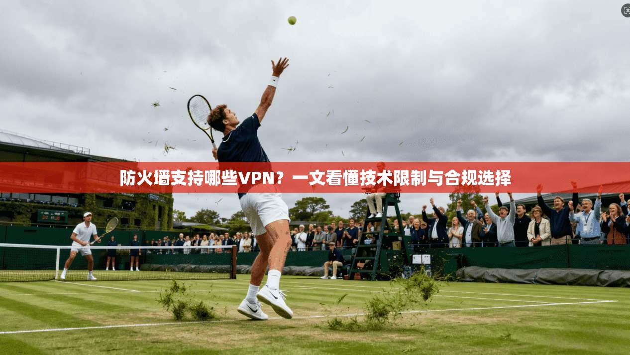 防火墙支持哪些VPN？一文看懂技术限制与合规选择