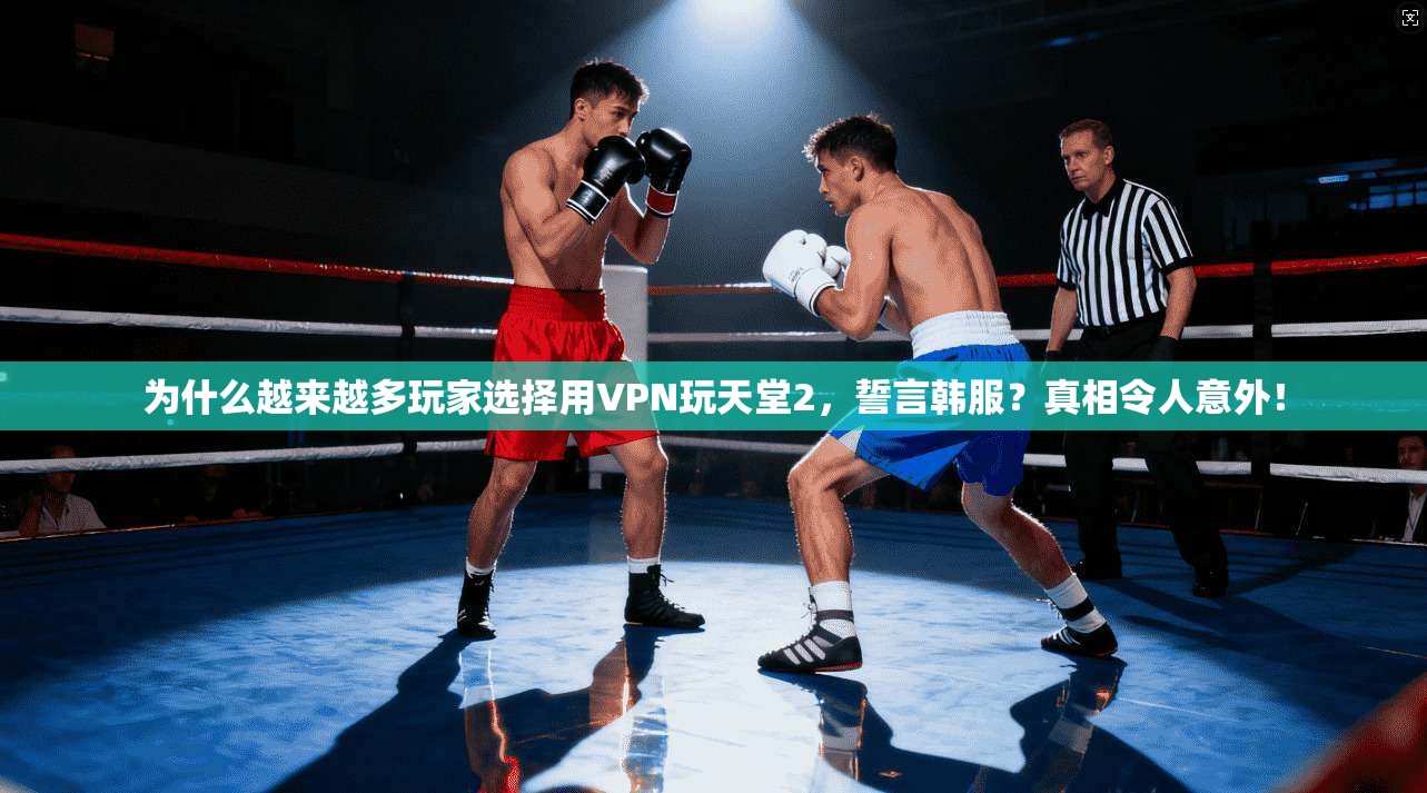 为什么越来越多玩家选择用VPN玩天堂2,誓言韩服?真相令人意外!