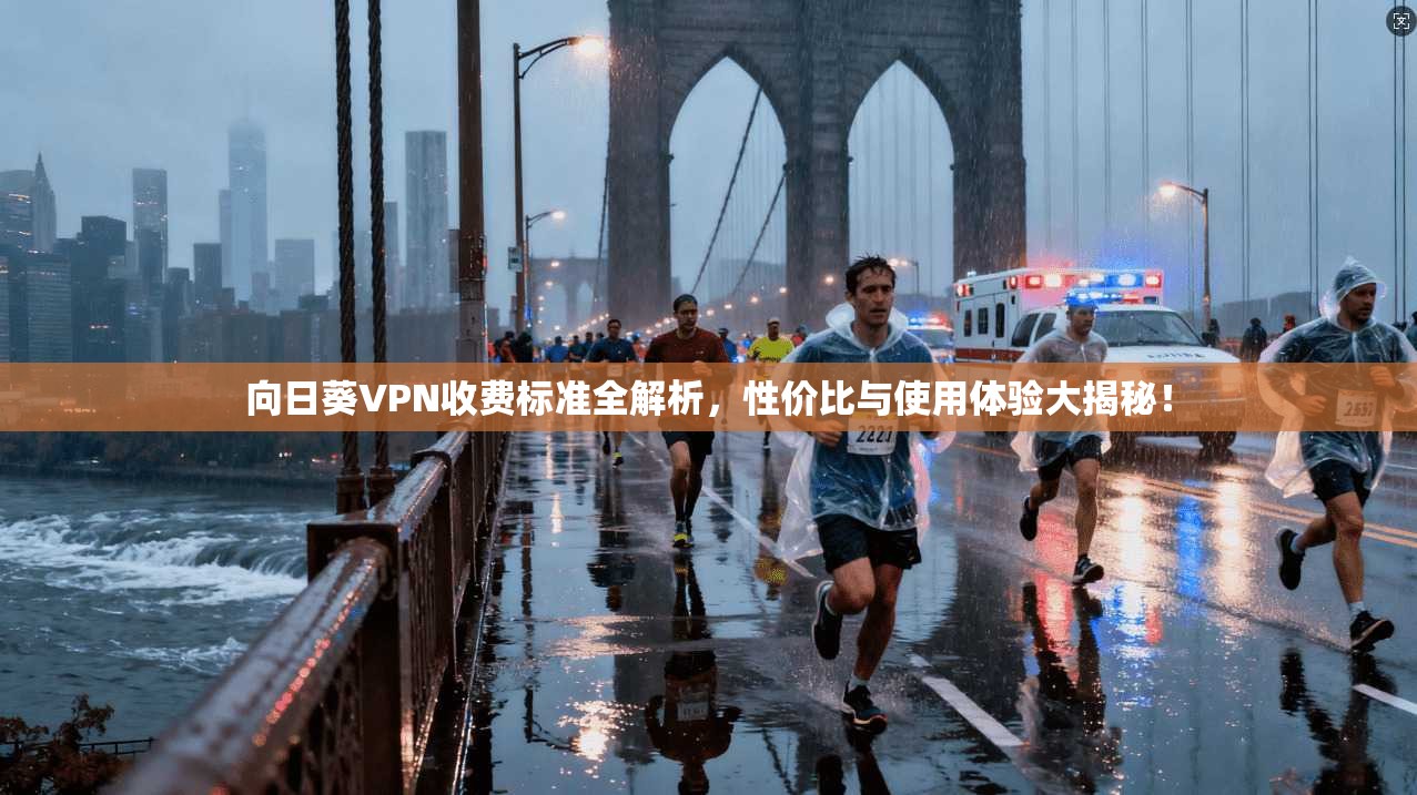 向日葵VPN收费标准全解析，性价比与使用体验大揭秘！
