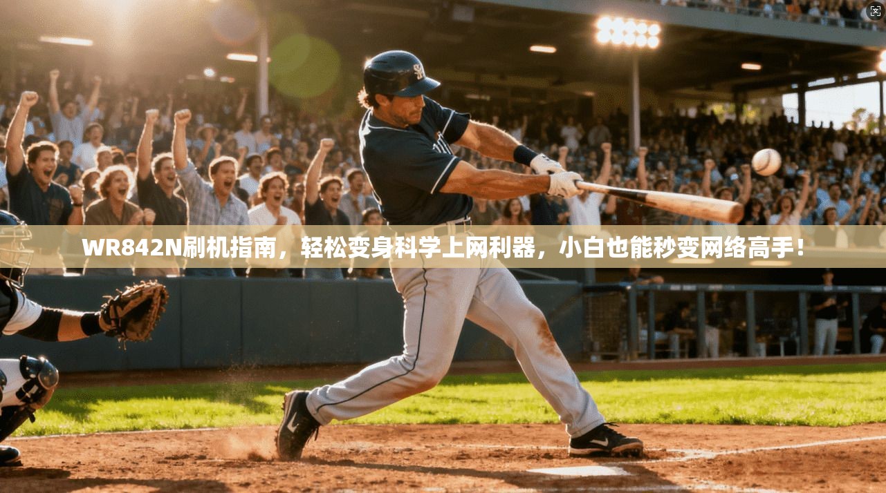 WR842N刷机指南，轻松变身科学上网利器，小白也能秒变网络高手！
