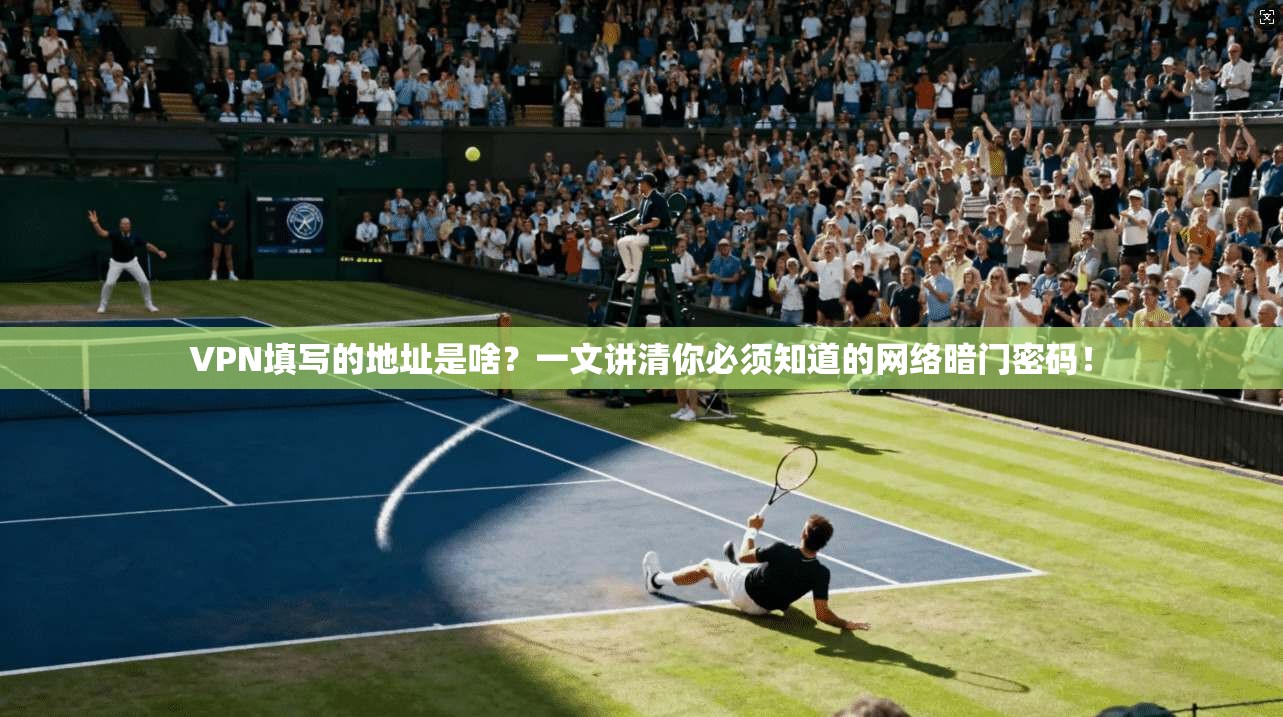 VPN填写的地址是啥？一文讲清你必须知道的网络暗门密码！