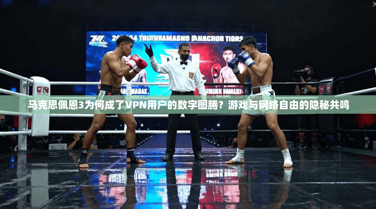 马克思佩恩3为何成了VPN用户的数字图腾？游戏与网络自由的隐秘共鸣