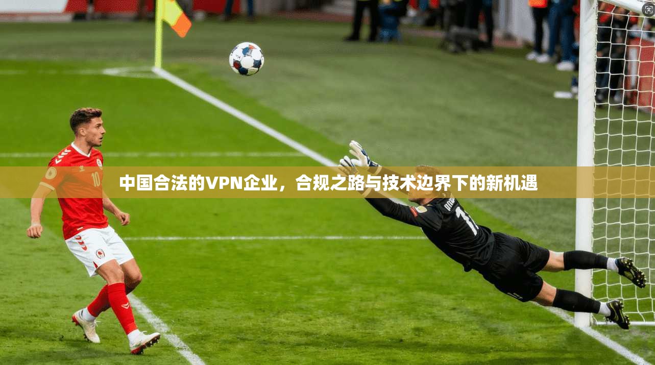 中国合法的VPN企业，合规之路与技术边界下的新机遇