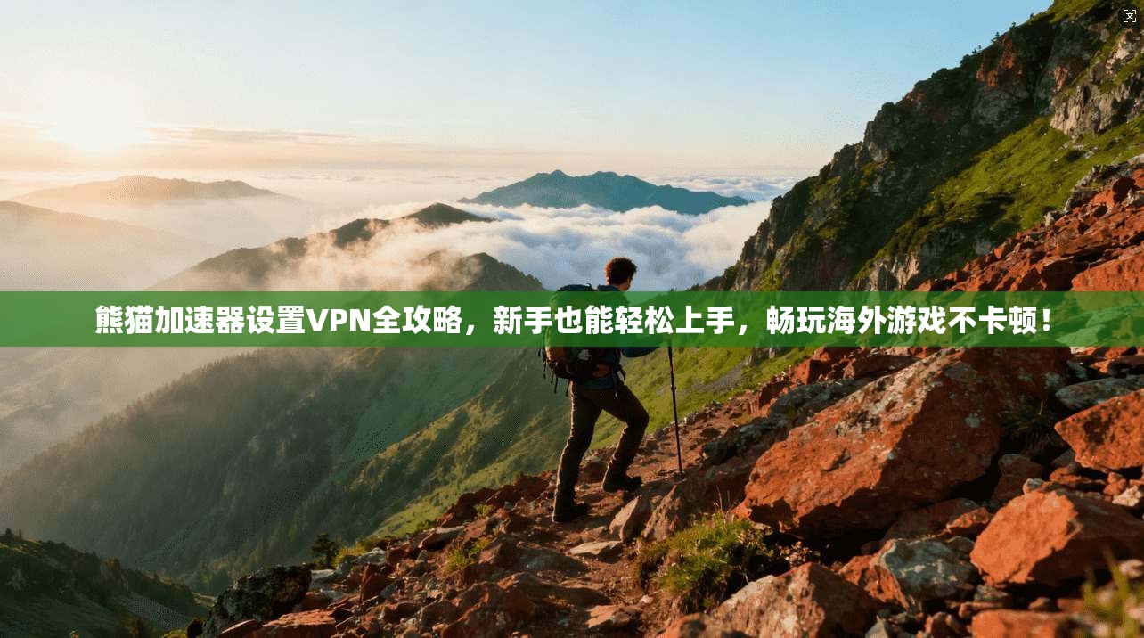 熊猫加速器设置VPN全攻略，新手也能轻松上手，畅玩海外游戏不卡顿！