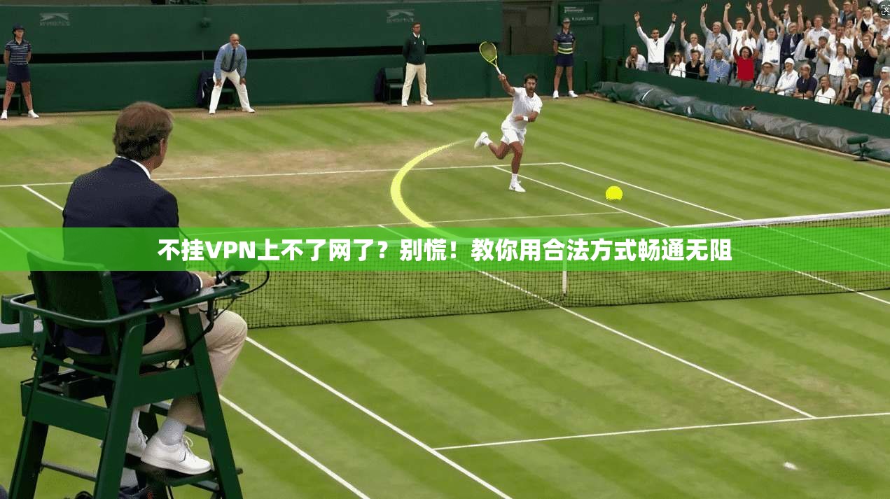 不挂VPN上不了网了？别慌！教你用合法方式畅通无阻
