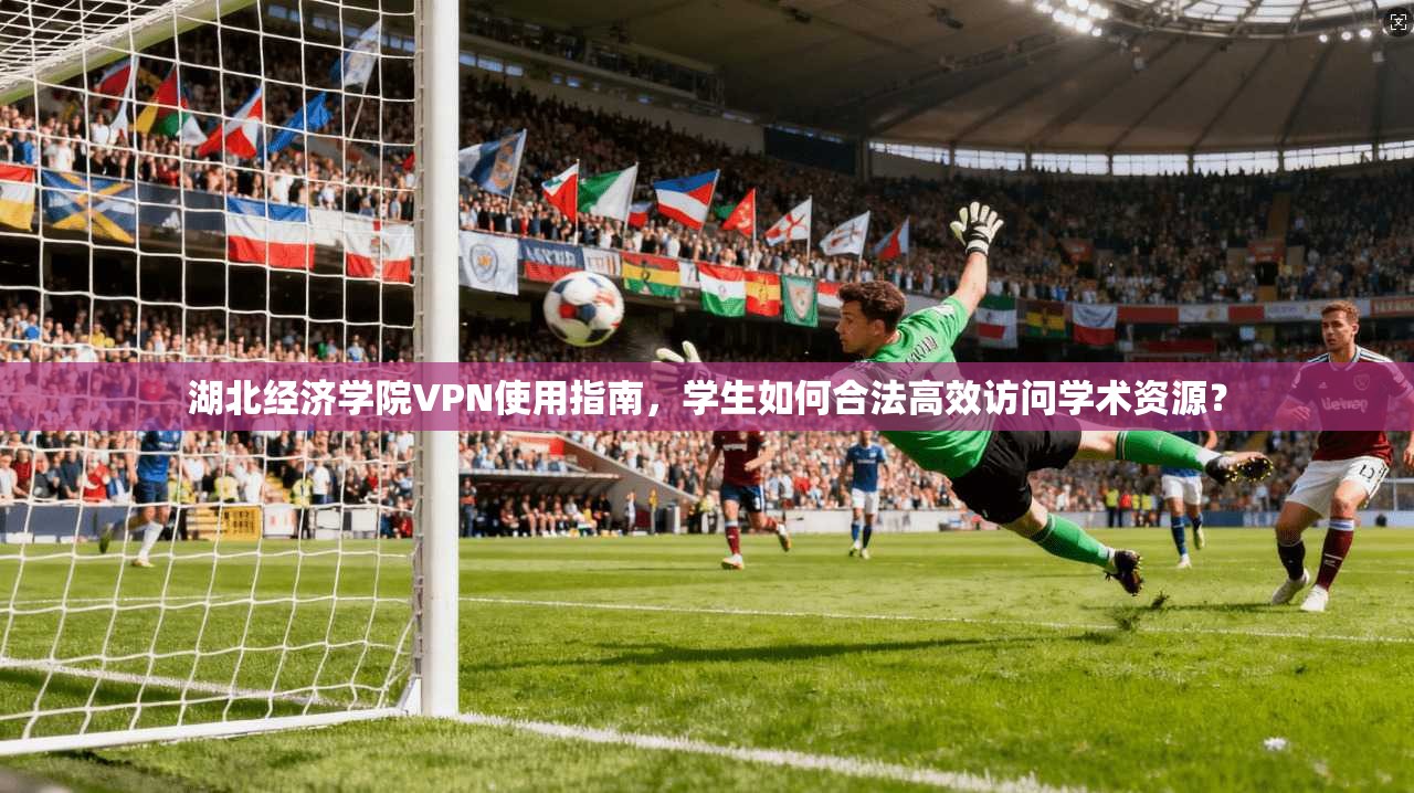 湖北经济学院VPN使用指南,学生如何合法高效访问学术资源?