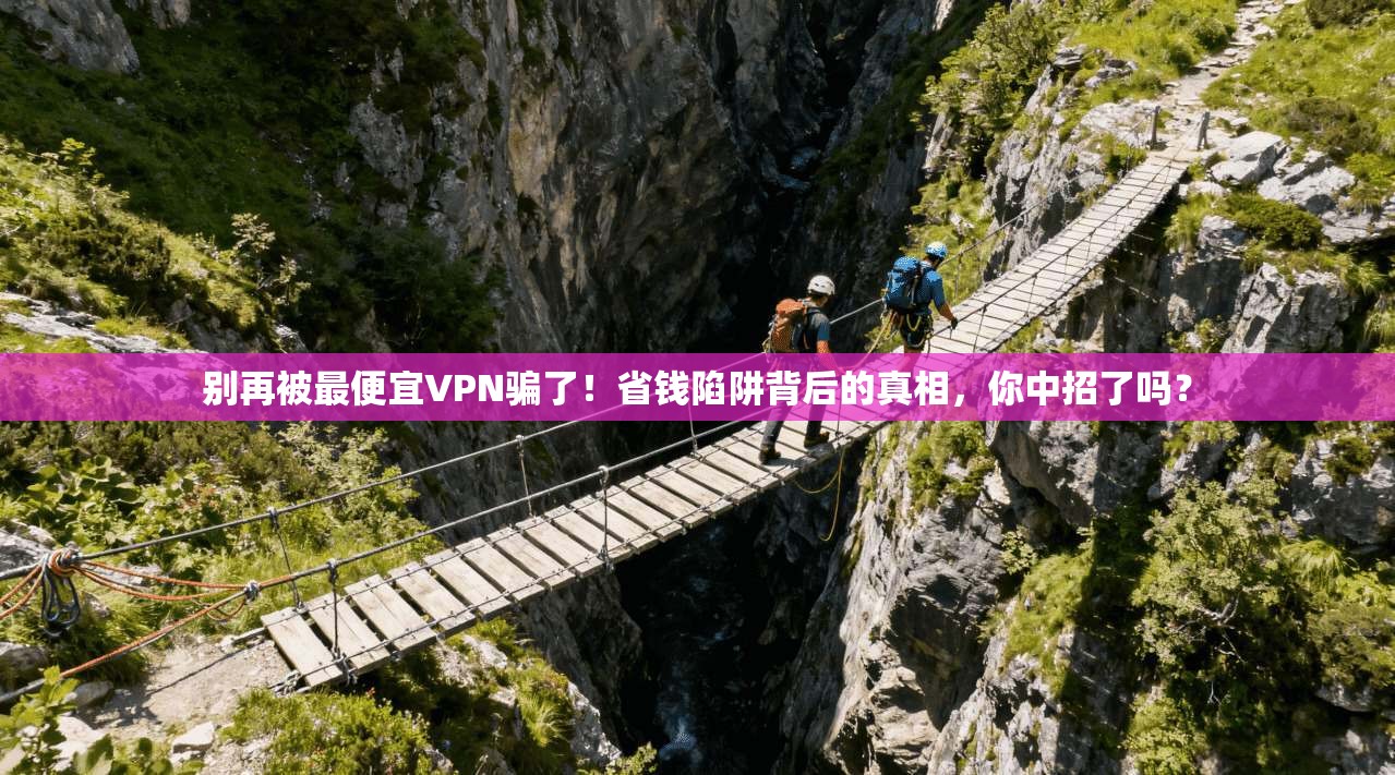 别再被最便宜VPN骗了！省钱陷阱背后的真相，你中招了吗？